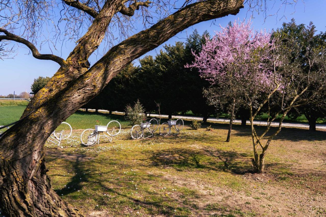 Bed and Breakfast Il Giardino Di Rebecca Ferrara Esterno foto