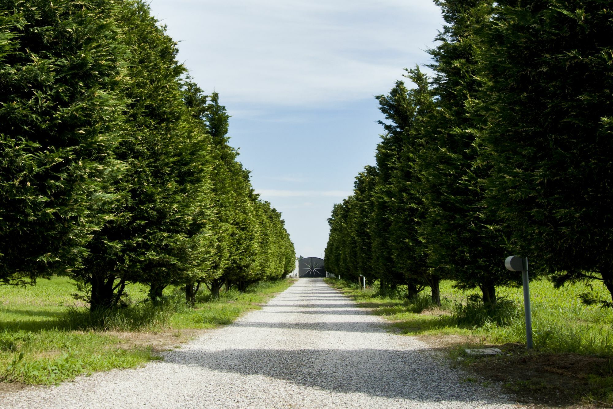 Bed and Breakfast Il Giardino Di Rebecca Ferrara Esterno foto